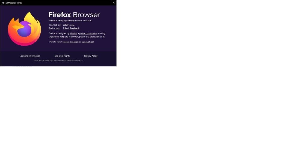 Firefox Update option gone 2.jpg