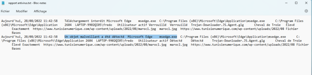 Capture d’écran 2022-08-28 122509.png