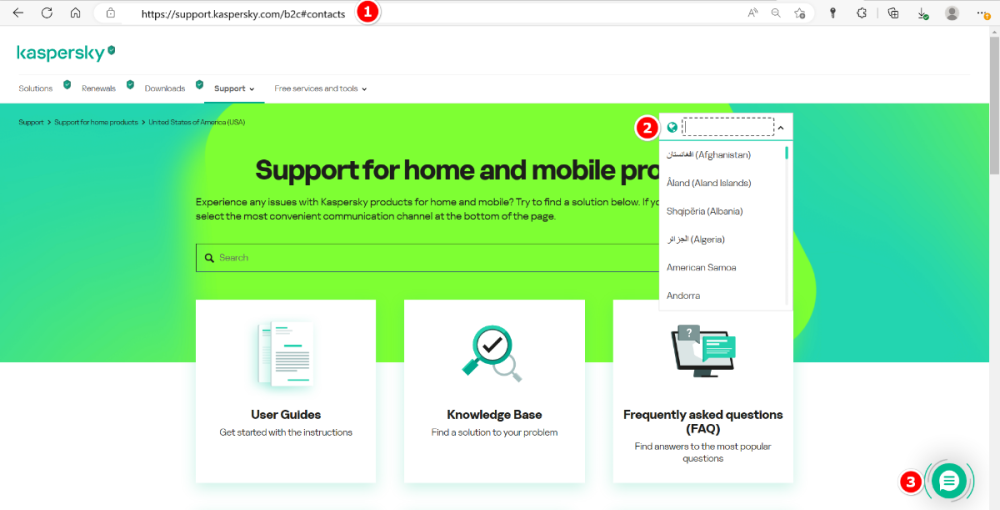 Contact Support - Kaspersky: Basic, Standard, Plus, Premium - Kaspersky ...
