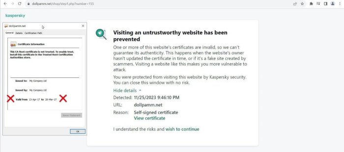 8-dollpamm-website-certificate-issue-kaspersky-alert.thumb.jpg.cf5ce867e212ce42b3a441008899eb02.jpg