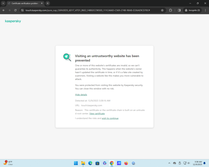 Visiting an Untrustworthy Site ....png