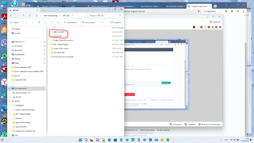 Снимок экрана-14.03.2024.png