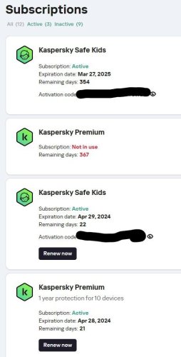 Kaspersky subs.jpg