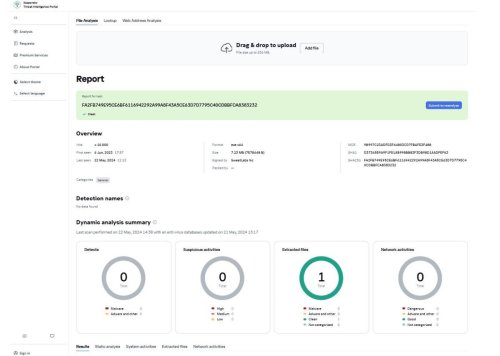 Kaspersky Report.JPG
