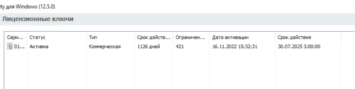 пк с 1 лицензиями.png