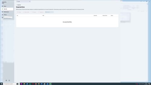 5 Quarantine-screen.jpg