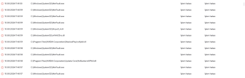 resim_2024-08-19_174011600.png