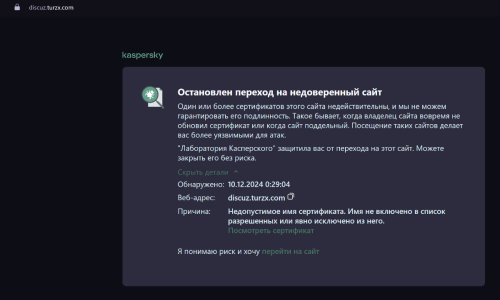 Снимок экрана 2024-12-10 002944.png