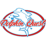 dolphinquesta
